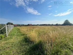 TEREN INTRAVILAN, HARMAN - imagine 4