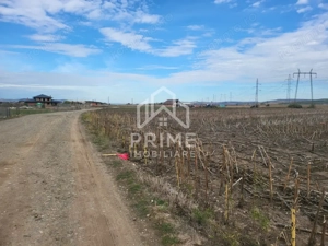 Teren de vanzare in Oarda de Jos , 8300  mp din care 2700 mp intravilan  - imagine 2
