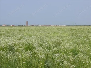 Teren 70 000 mp pretabil FOTOVOLTAIC de vanzare in Titu, jud Dambovita, negociabil