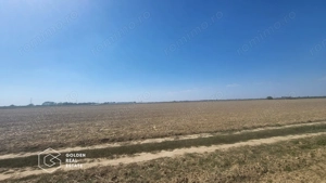 Teren Mosnita Noua, 11600 mp - imagine 2