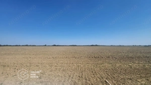 Teren Mosnita Noua, 11600 mp - imagine 3