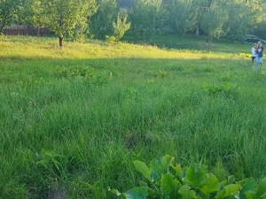 Teren Bârnova Iași  - imagine 7