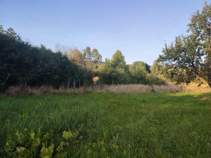 Teren Bârnova Iași  - imagine 8