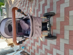 Căruț bebeluși coccolle 