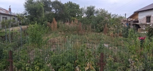 Teren 800 mp zona linistita