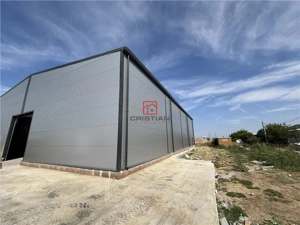 Vanzare depozit hala spatiu industrial Theodor Pallady - Gara Catelul