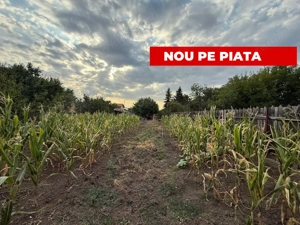 Casa cu trei camere avand 90mp suprafata utila, 1.200 mp teren, in zona Mehala 