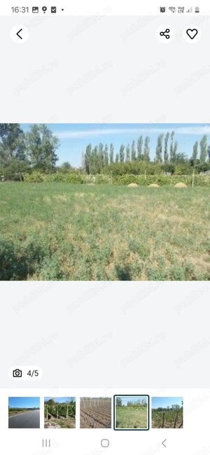 Vând Teren intravilan în Simian - imagine 4