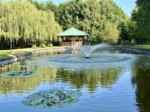 10.000 mp de teren, pădure proprie și o casă generoasă de 540 mp. - imagine 10