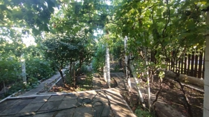 Casă, gradină, teren mare - Palazu Mare - imagine 3