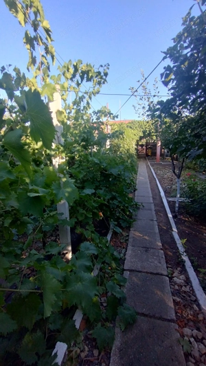 Casă, gradină, teren mare - Palazu Mare - imagine 7