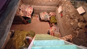 Casă, gradină, teren mare - Palazu Mare - imagine 9