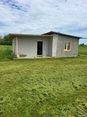 Teren Bradu la Monument - imagine 5