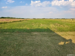 Teren Bradu la Monument - imagine 6