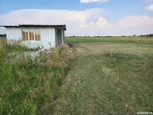 Teren Bradu la Monument - imagine 7