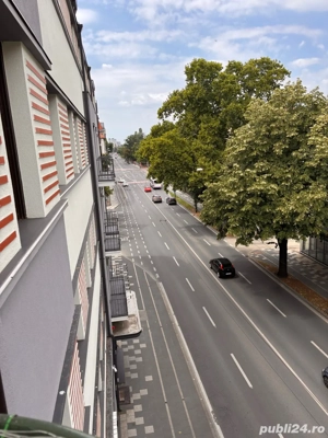 proprietar - imagine 9