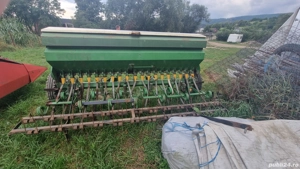 Semanatoare paioase - imagine 3