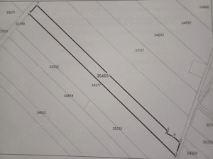 Vand teren intravilan agricol, 4950mp, Sabareni, jud Giurgiu