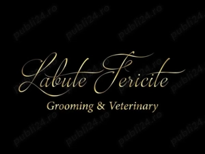 Angajare Medic Veterinar