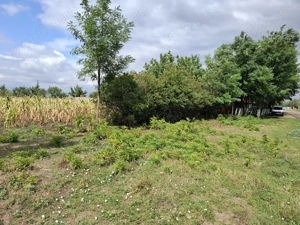 Loc de casa simandul de sus 50m latime - imagine 5