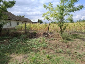 Loc de casa simandul de sus 50m latime - imagine 6