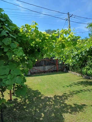 Stefanesti Jud Valcea Casa de Vanzare Curte 3000mp - imagine 8