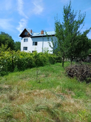 Stefanesti Jud Valcea Casa de Vanzare Curte 3000mp - imagine 9