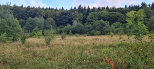 Teren de vânzare Vălișoara, Alba - imagine 6 Teren de vânzare Vălișoara, Alba - imagine 6