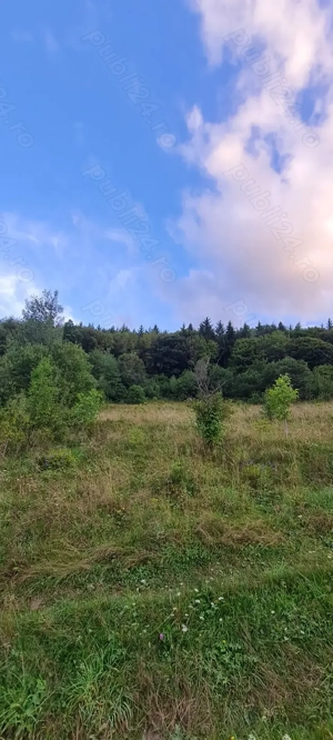 Teren de vânzare Vălișoara, Alba - imagine 5 Teren de vânzare Vălișoara, Alba - imagine 5