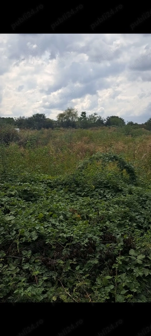 Teren industrial intravilan Bocsa