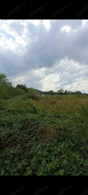 Teren industrial intravilan Bocsa - imagine 2