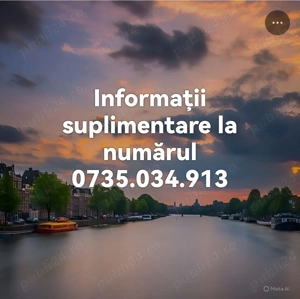 Vând purcei ! - imagine 3 Vând purcei ! - imagine 3