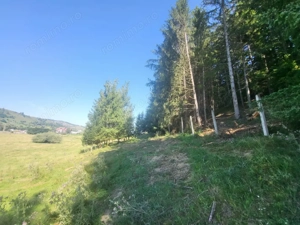 Teren, Ideal pentru Investitie Sau Dezvoltare - imagine 3