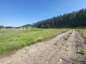 Teren, Ideal pentru Investitie Sau Dezvoltare - imagine 5