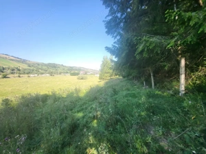 Teren, Ideal pentru Investitie Sau Dezvoltare - imagine 16