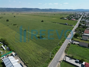 Teren de vânzare, Letea Veche, Jud. Bacău - imagine 3