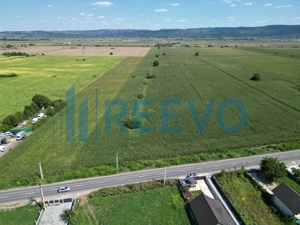 Teren de vânzare, Letea Veche, Jud. Bacău - imagine 2