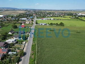 Teren de vânzare, Letea Veche, Jud. Bacău - imagine 6