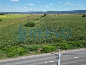 Teren de vânzare, Letea Veche, Jud. Bacău - imagine 5