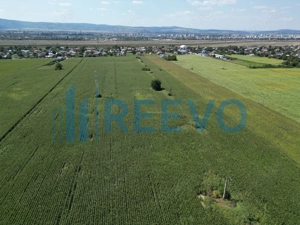 Teren de vânzare, Letea Veche, Jud. Bacău - imagine 8