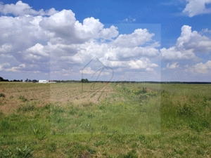 Teren intravilan Ciocanesti Cretu - 9282 mp divizat in 15 loturi