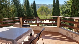 Vila spațioasă 5 dormitoare, Provita de Jos - imagine 4