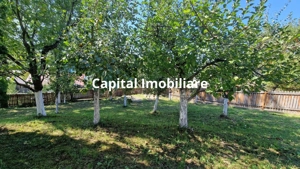 Vila spațioasă 5 dormitoare, Provita de Jos - imagine 5