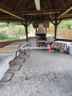 Vila spațioasă 5 dormitoare, Provita de Jos - imagine 8