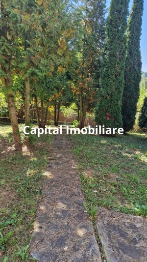 Vila spațioasă 5 dormitoare, Provita de Jos - imagine 3