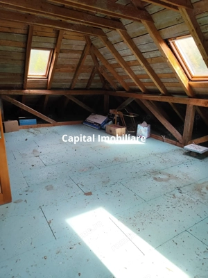 Vila spațioasă 5 dormitoare, Provita de Jos - imagine 19