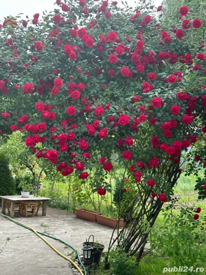 Casă de vănzare - imagine 18