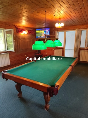 Vila superba 7 camere, Provita de Jos, 22.000 mp teren - imagine 2