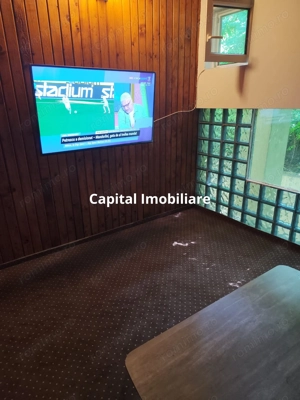 Vila superba 7 camere, Provita de Jos, 22.000 mp teren - imagine 11