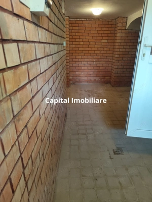 Vila superba 7 camere, Provita de Jos, 22.000 mp teren - imagine 18